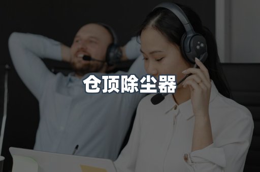 仓顶除尘器